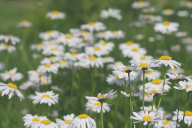 Similar image 6237028