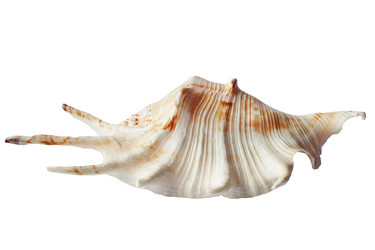 Similar image 6237034