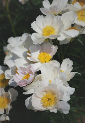 Similar image 6237037