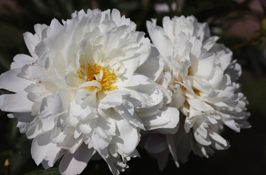 Similar image 6237038