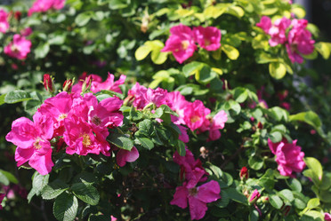 Similar image 6237039