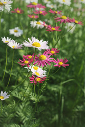 Similar image 6237040