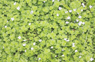 Similar image 6237041