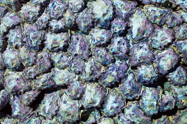 Similar image 6237080