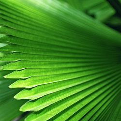 Similar image 6237082