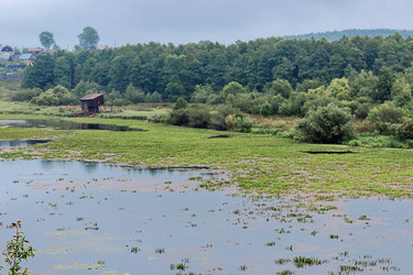 Similar image 6237140