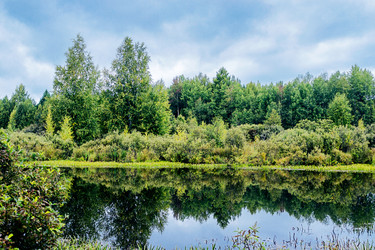 Similar image 6237142