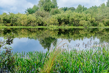 Similar image 6237144