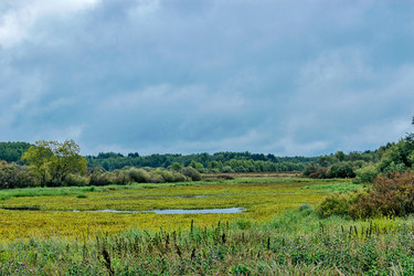 Similar image 6237146