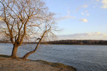 Similar image 6237170