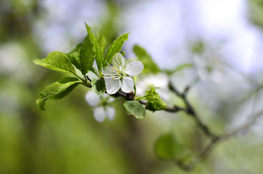 Similar image 6237192