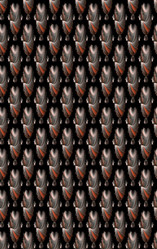 Similar image 6237228