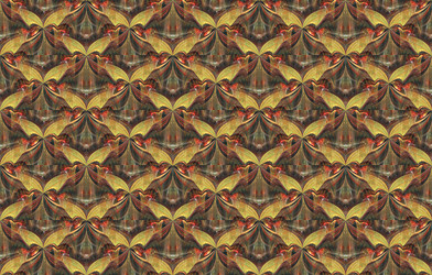 Similar image 6237253