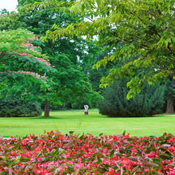 Similar image 6237374