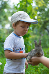 Similar image 6237405