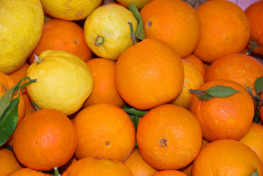 Similar image 6237515