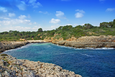 Similar image 6237559