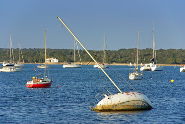 Similar image 6237570