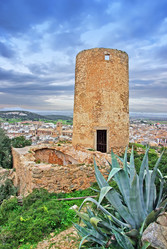 Similar image 6237581