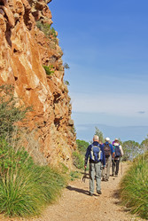 Similar image 6237589