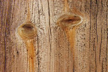 Similar image 6237731