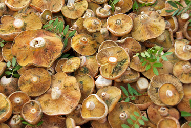 Similar image 6237766