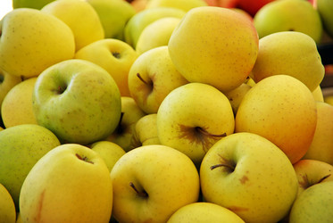 Similar image 6237767