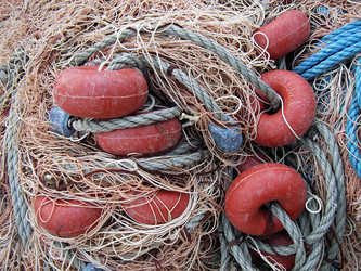 Similar image 6237772