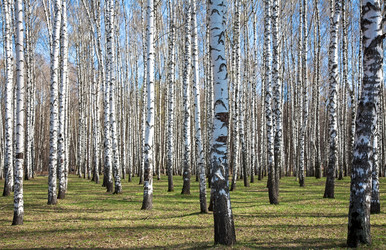 Similar image 6237773