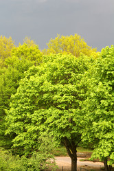 Similar image 6237791