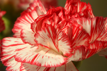 Similar image 6237798