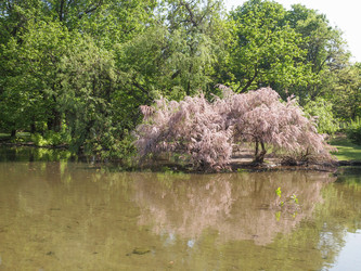 Similar image 6237844