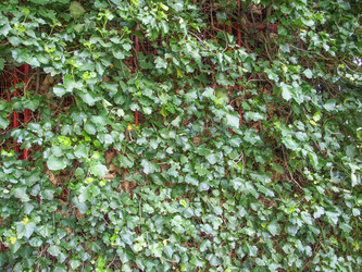 Similar image 6237873