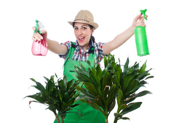 Similar image 6237898