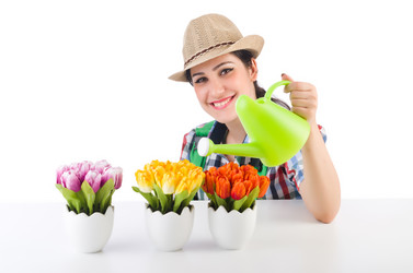 Similar image 6237903