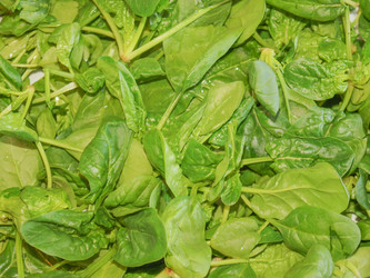 Similar image 6237924