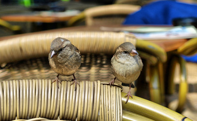 Similar image 6237936