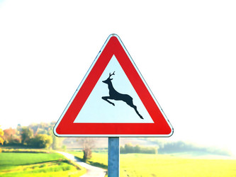 Similar image 6237937