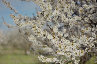 Similar image 6238291