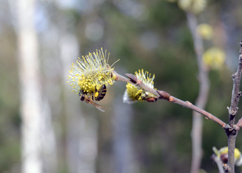 Similar image 6238293