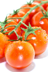 Similar image 6238305