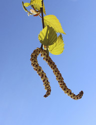 Similar image 6238308