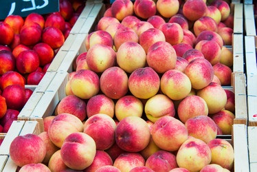 Similar image 6238861