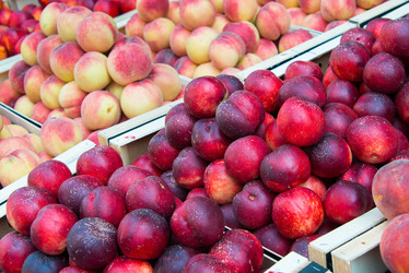 Similar image 6238862