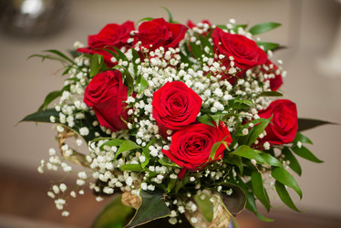 Similar image 6239057