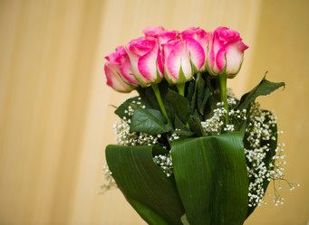 Similar image 6239084