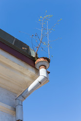 Similar image 6239180