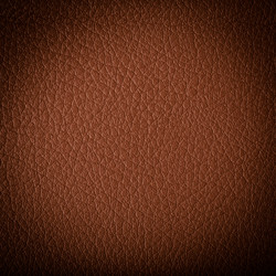 Similar image 6239181