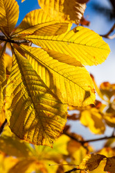 Similar image 6239190