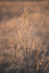 Similar image 6239224